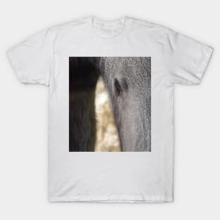 Giant Anteater T-Shirt